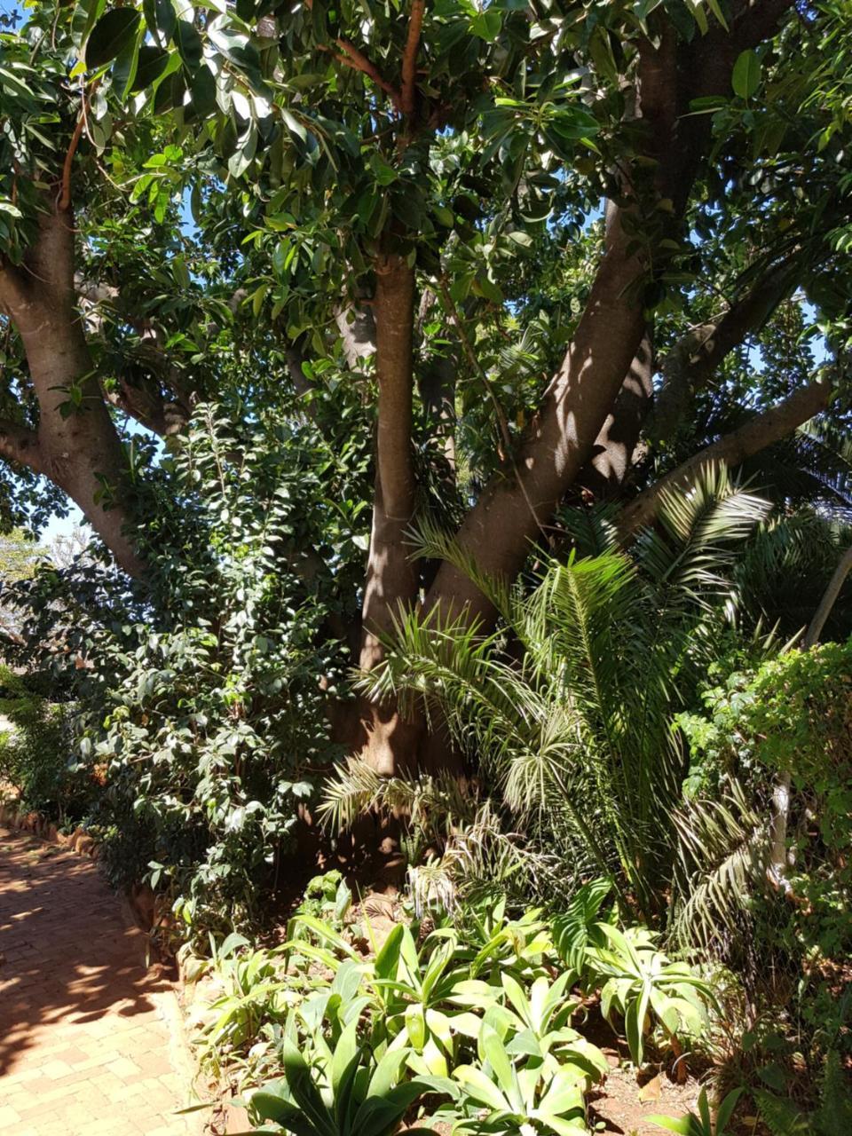 Burnham Road Suite Guest House Bulawayo Bagian luar foto